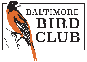 The Baltimore Bird Club Home Page