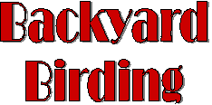 BACKYARD BIRDING
